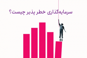 سرمایه گذاری خطر پذیر